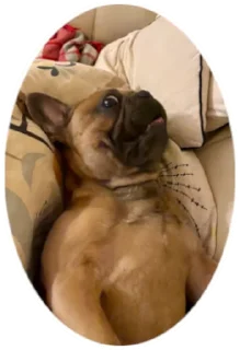 😮