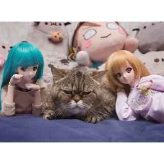 ☹️