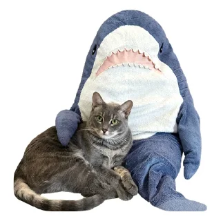 🦈