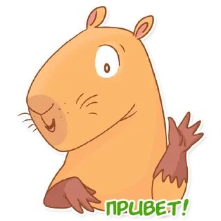 👋