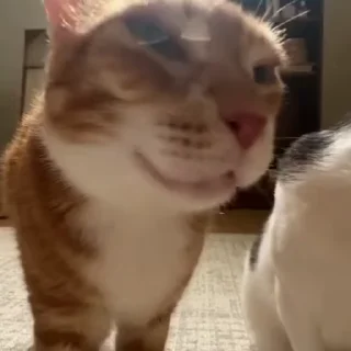 🙂