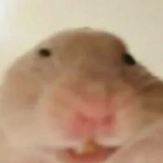 😅