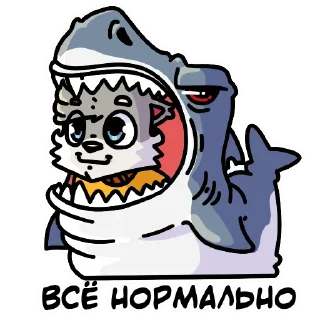 🦈