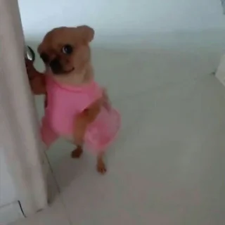👀
