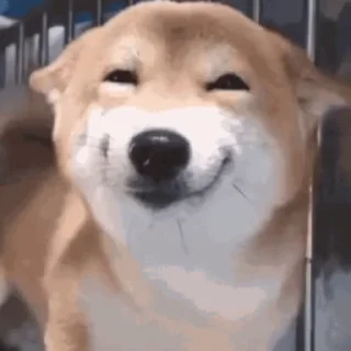 🙂