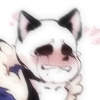 😿