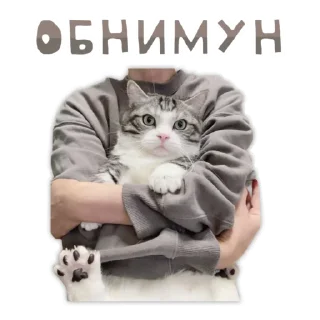 🤗