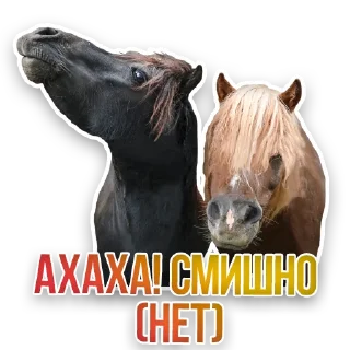 🐴