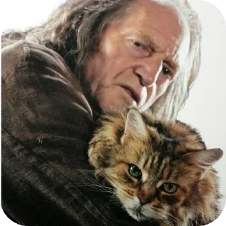🐱