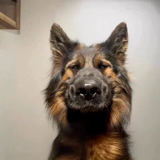 🙃