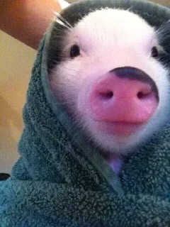 🧖‍♀️