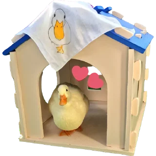 🏠