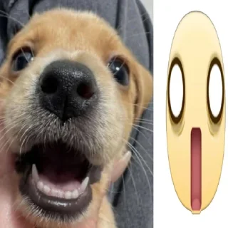 🌟