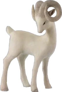 🪽