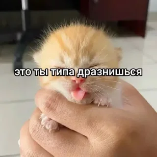 😛