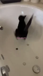 😱
