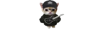 🐈