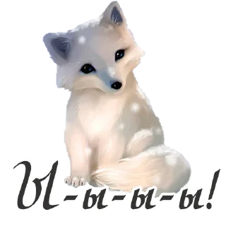 🦊