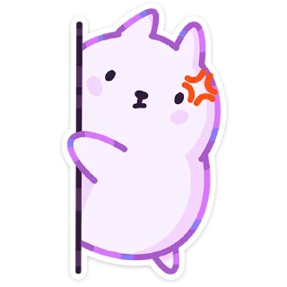 🐱
