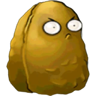 🌰