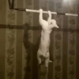 💪