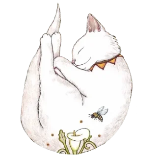 ✨