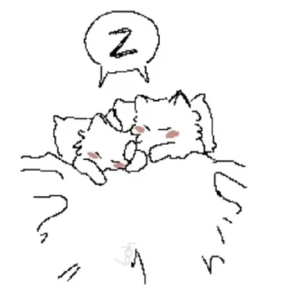 😴