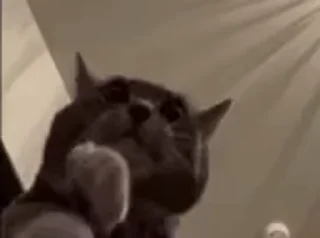 🥵
