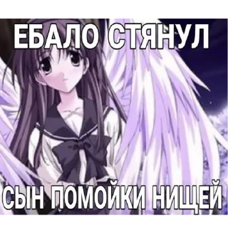😺