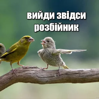 👉