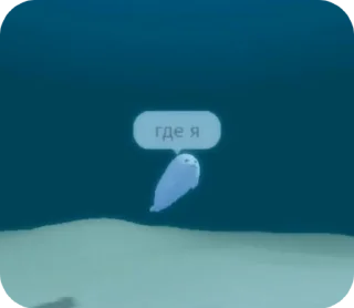😨