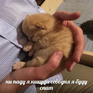 😴