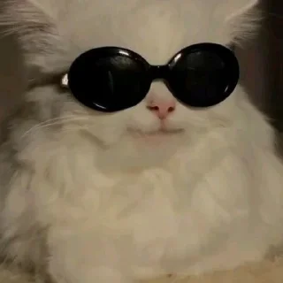 😎