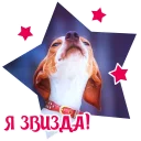 ⭐️
