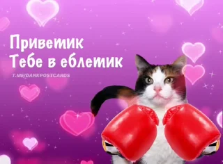 🌟
