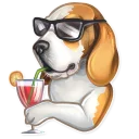 😎