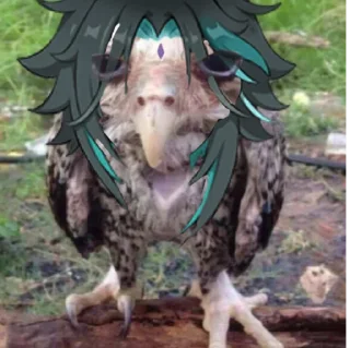 🦉