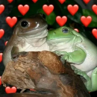 🥰