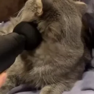 😌