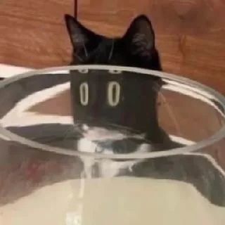 😲