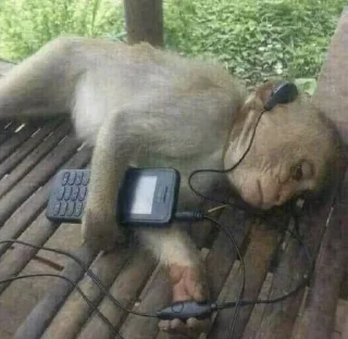 🎶