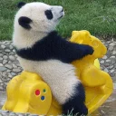 👍