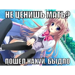 🌸