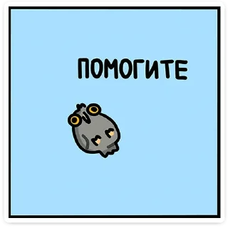 🦉