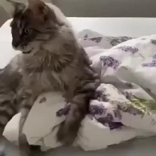 😁