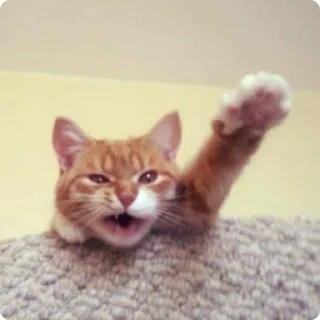 👋
