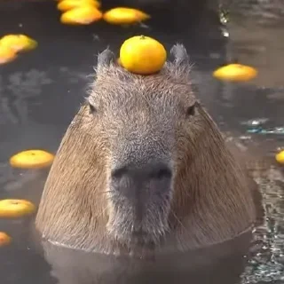 😑