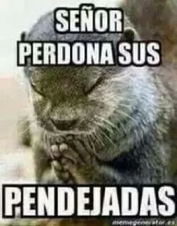 🙏