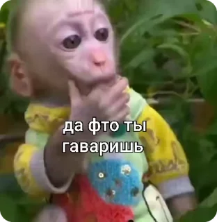 маи бибязяначки 3 @Packek