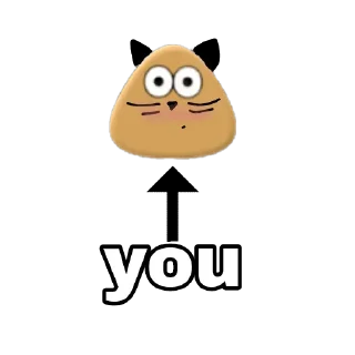 🐱